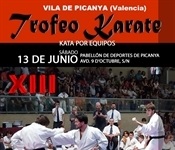 CARTEL_karate_juny_2015