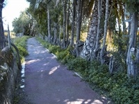 Carril bici camí dels Horts - 002