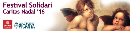 bnr_festival_solidari_2016 bnr_festival_solidari_2016