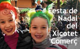 Festa de Nadal del Xicotet Comerç