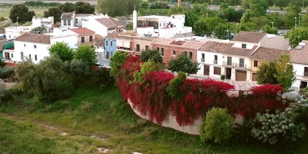 Picanya. A la llum del Mediterrani.