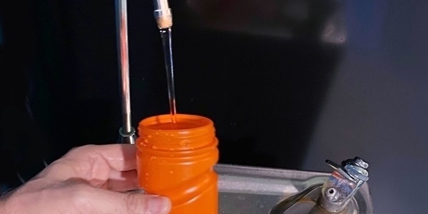 Nova font d'aigua al Pavelló per a reduir l'ús de botelles de plàstic d'un sol ús