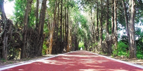 Nou tram de carril-bici a la zona dels Horts.